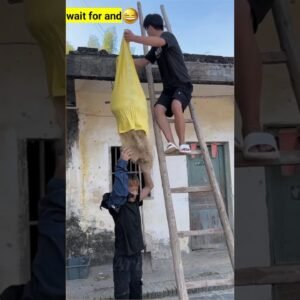 Monkey funny video 🤣😂 🙄 #shorts 1748714120 Kwai Funny tiktok Funny Videos 2024 Chinese Funny Video.jpg