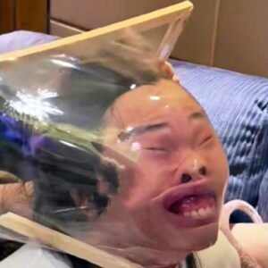 Best FUNNY Videos 2024 1 Hours Funny Moments Of The
