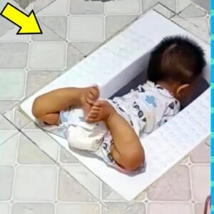 Funny Hilarious Video Peoples Happy Life 30 Try Not.jpg