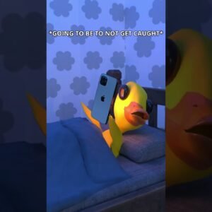 VIDEO GAMES AT 3AM humor homealone babyduck