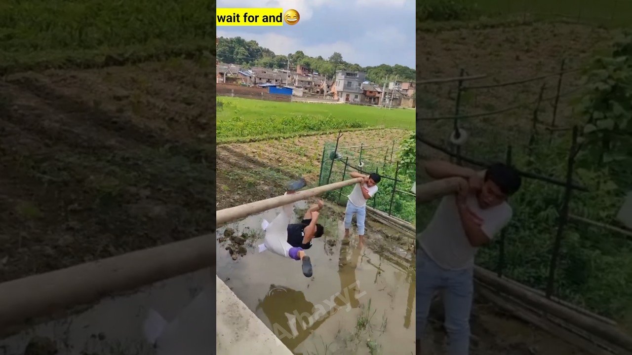 Top New Comedy Video Amazing Funny Video 2025 😂 Try To Not Laugh 2025 Episode 327 By Busy Fun Ltd funny video clips TikTok