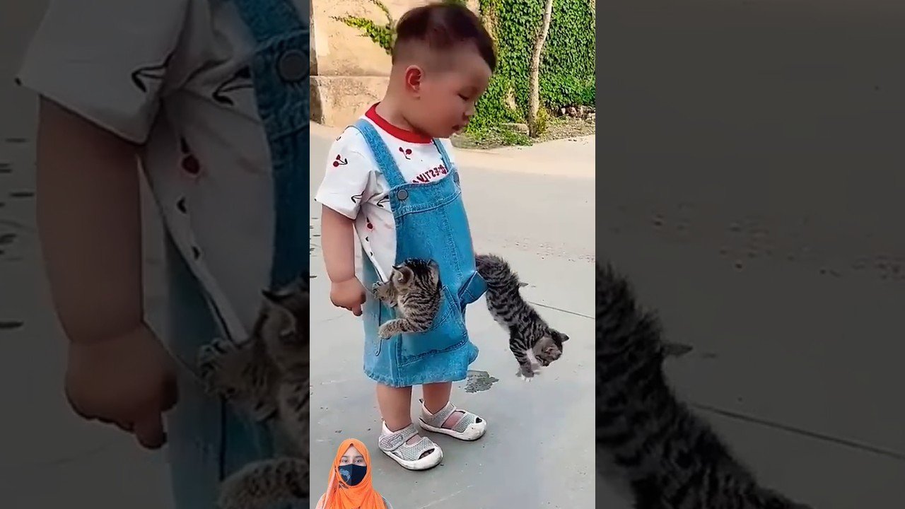 funny video WhatsApp status trending