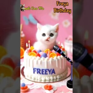 Girls Attitude Shayari Status | Single Girls Attitude WhatsApp Status #shorts FREYA BIRTHDAY HAPPY BIRTHDAY SONG WITH NAMES Adorable.jpg