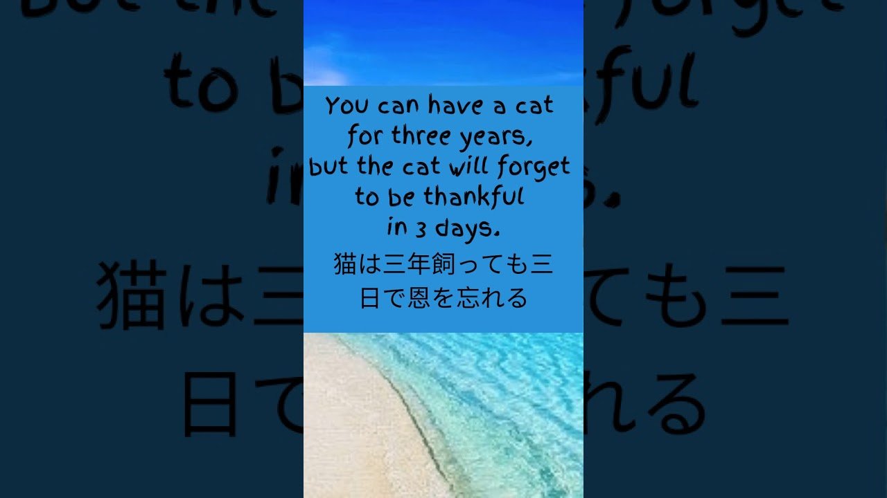 I'M OK🙂💔Aesthetic Status||Love Status||New Sad Status Japanese Quotes with English Translation 2020 video 002.jpg