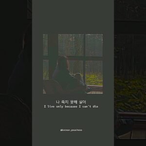 top 3 free movie web series downloading website Korean quotes that will touch ur heart korea shorts.jpg