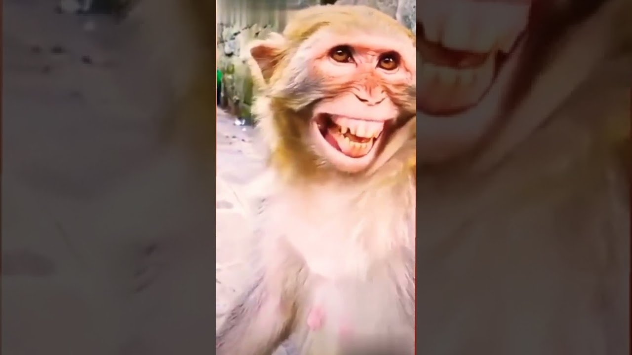 Exam khatam hote hi kaam pr laga dia🥹 #comedy #funny #funnyvideo #comedyvideo funny video status TikTok download free