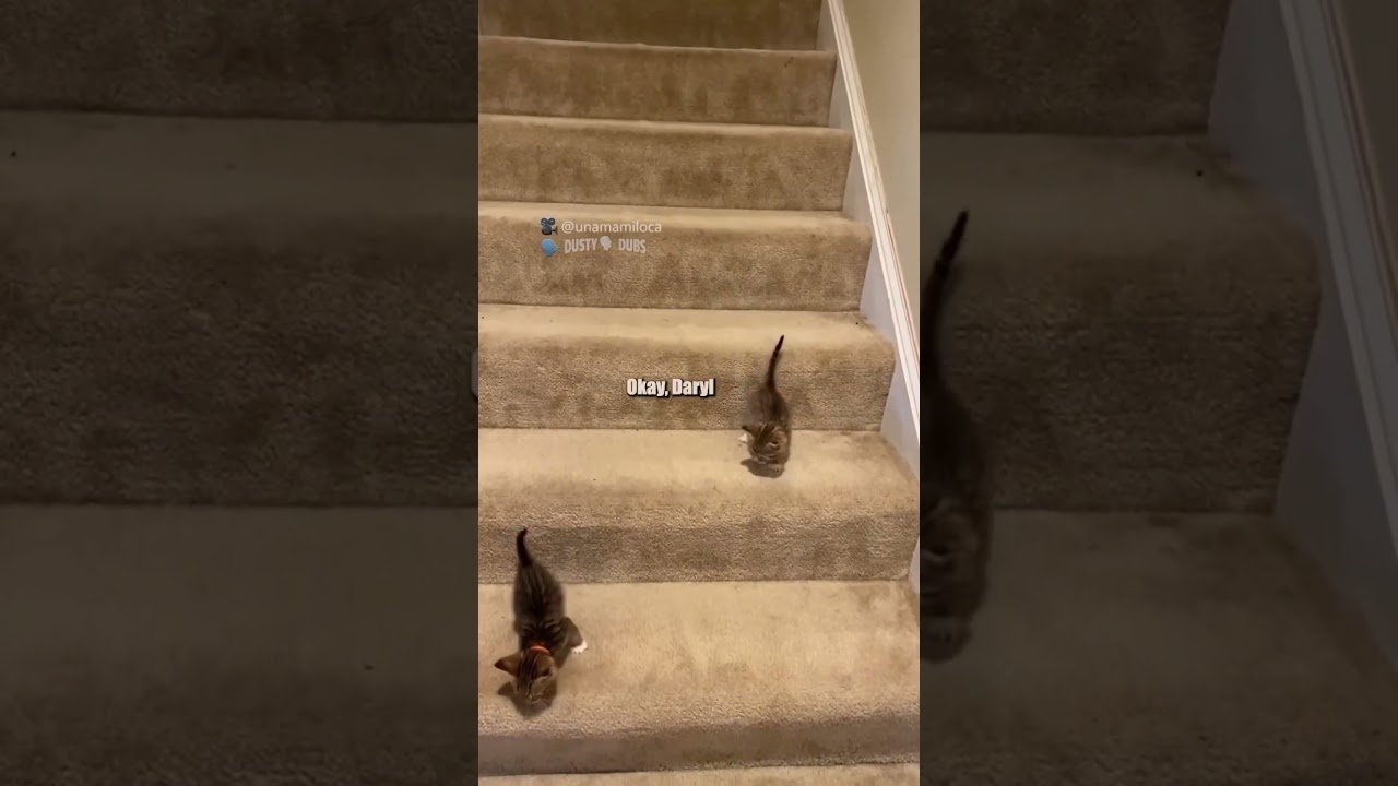 stairs are very treacherous ๐ฅ: unamamiloca (TikTok), #shorts post thumbnail image