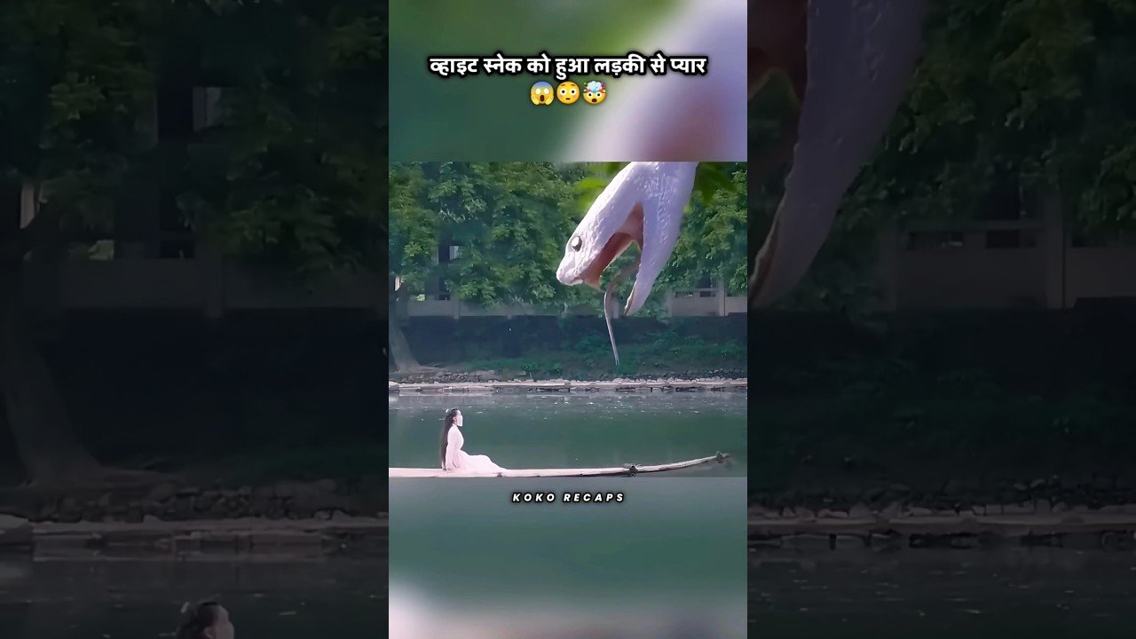 व्हाइट स्नेक को हुआ लड़की से प्यार shorts drama kdrama.jpg